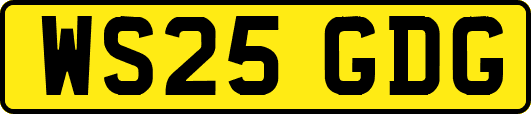WS25GDG