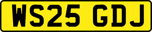 WS25GDJ