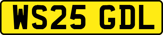 WS25GDL