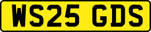 WS25GDS