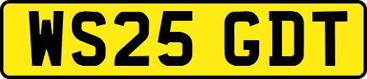 WS25GDT