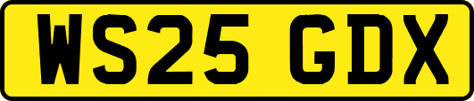 WS25GDX