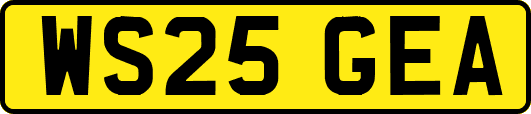 WS25GEA