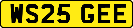 WS25GEE