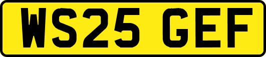 WS25GEF