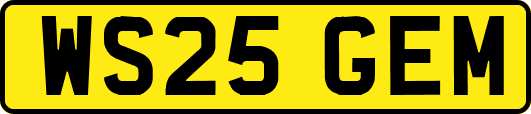 WS25GEM