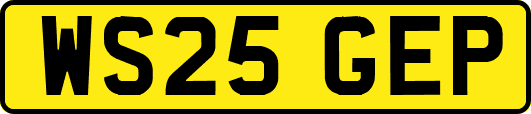 WS25GEP