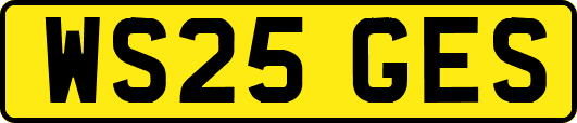 WS25GES