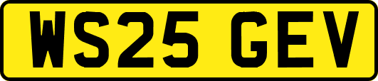 WS25GEV