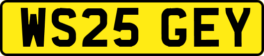 WS25GEY