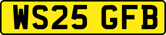 WS25GFB