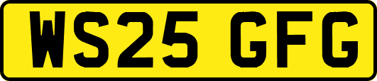 WS25GFG