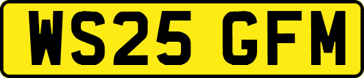 WS25GFM