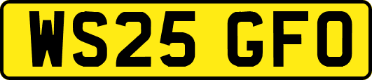 WS25GFO