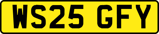 WS25GFY