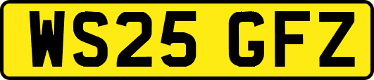 WS25GFZ