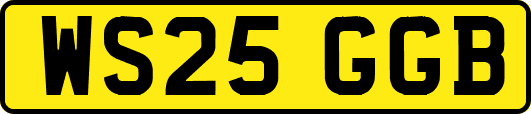 WS25GGB