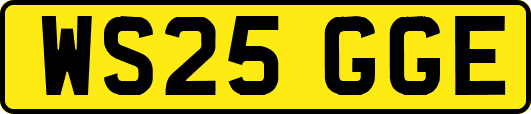 WS25GGE