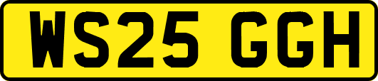 WS25GGH