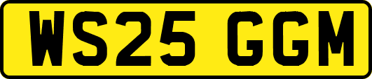 WS25GGM
