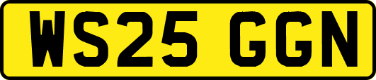 WS25GGN