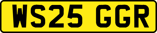 WS25GGR
