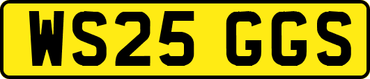 WS25GGS