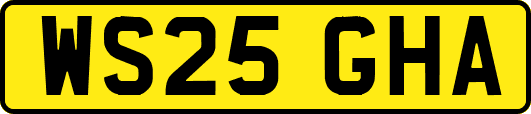 WS25GHA