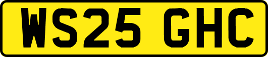 WS25GHC