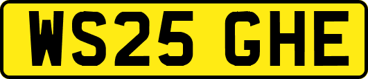 WS25GHE