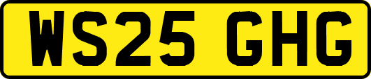 WS25GHG