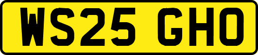 WS25GHO