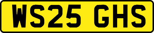 WS25GHS
