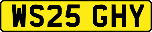WS25GHY