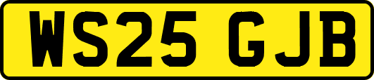 WS25GJB