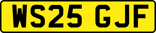 WS25GJF