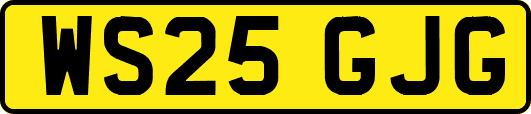 WS25GJG