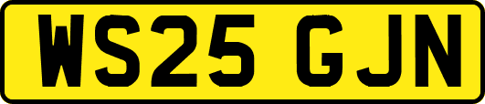 WS25GJN