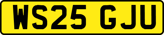 WS25GJU