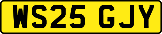 WS25GJY