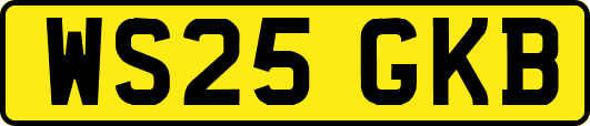 WS25GKB