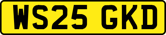 WS25GKD