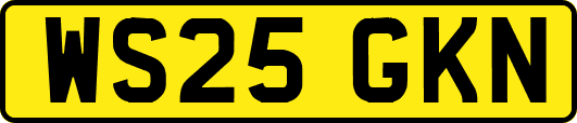 WS25GKN
