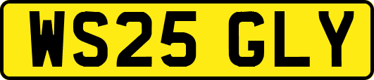 WS25GLY