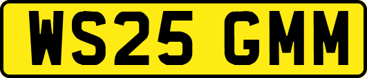 WS25GMM