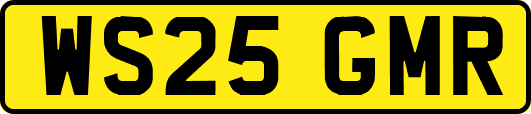 WS25GMR