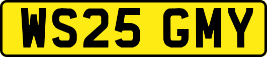 WS25GMY
