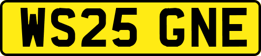 WS25GNE