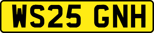 WS25GNH