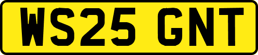 WS25GNT